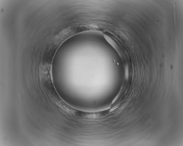 X0000068310237200604211212