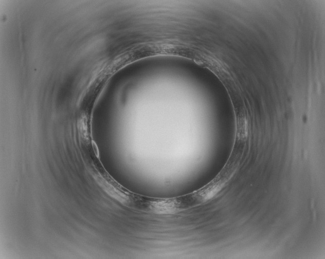 X0000068310238200604211212