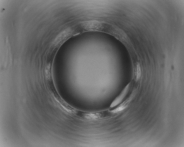 X0000068310239200604211212