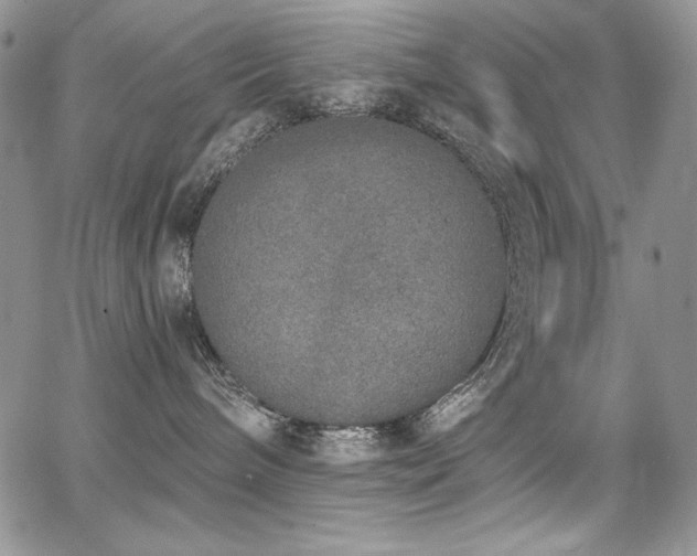 X0000068310240200604211212