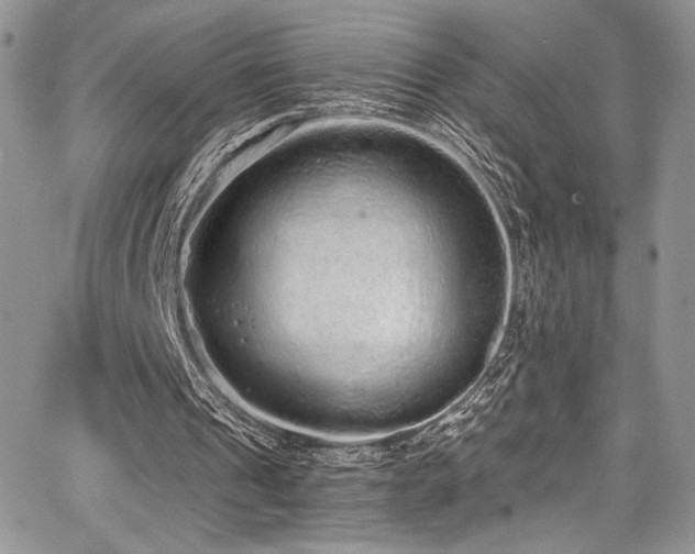 X0000068310241200604211211