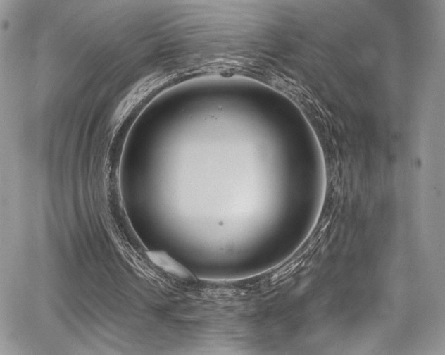 X0000068310242200604211211