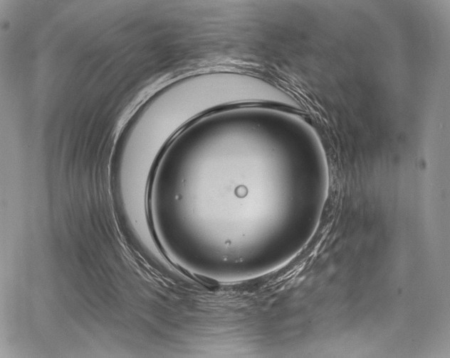 X0000068310244200604211211