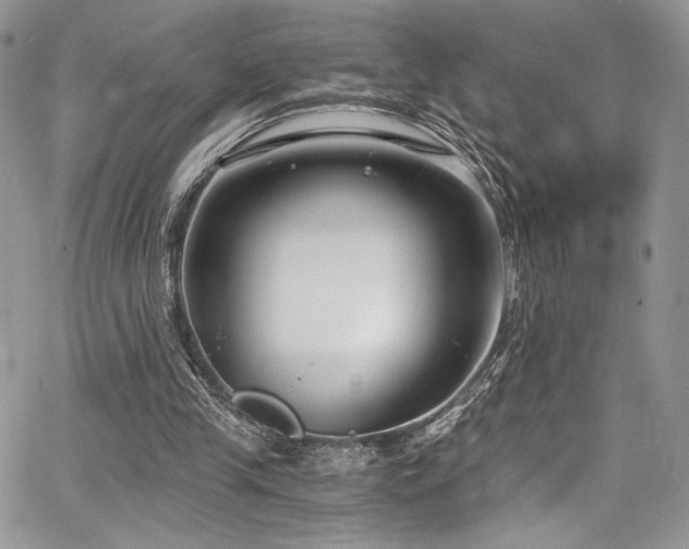 X0000068310245200604211211