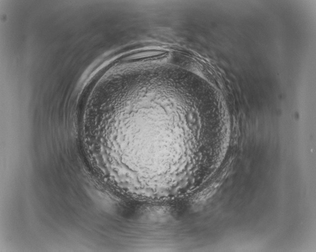 X0000068310247200604211211