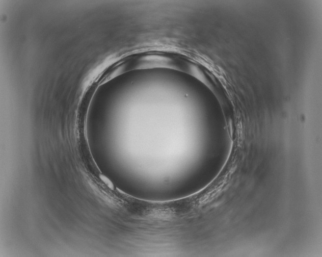 X0000068310248200604211211