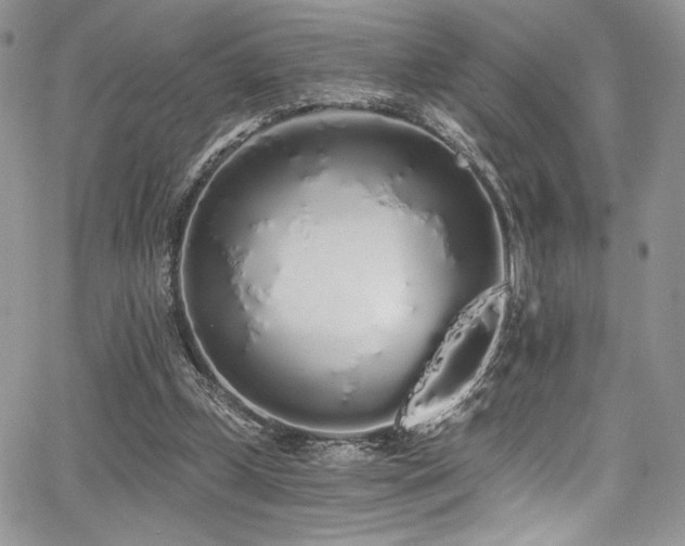 X0000068310249200604211211