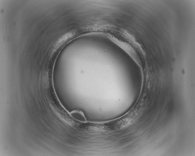 X0000068310250200604211211