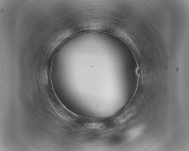 X0000068310251200604211211