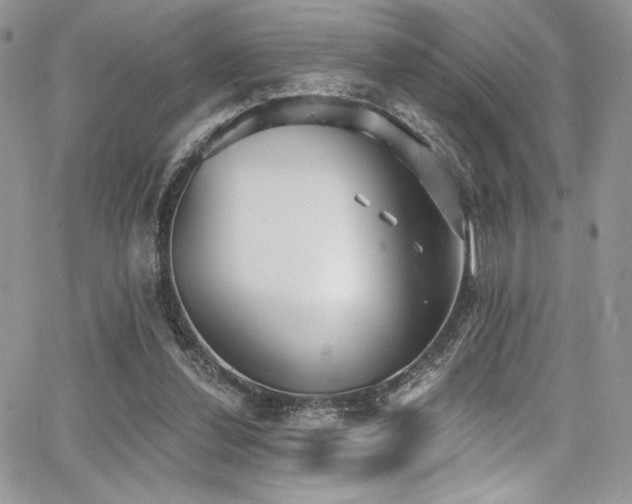 X0000068310252200604211211