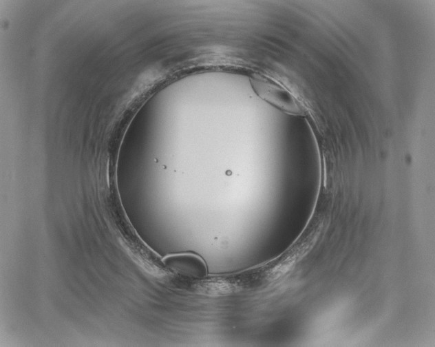 X0000068310253200604211211