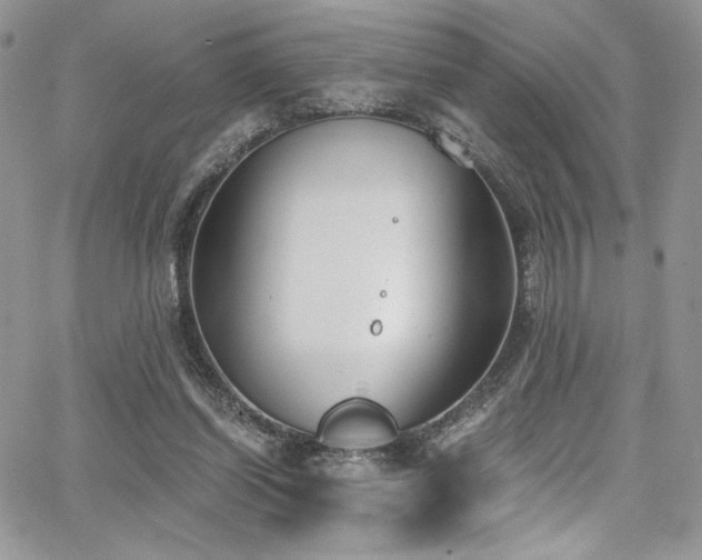 X0000068310254200604211211