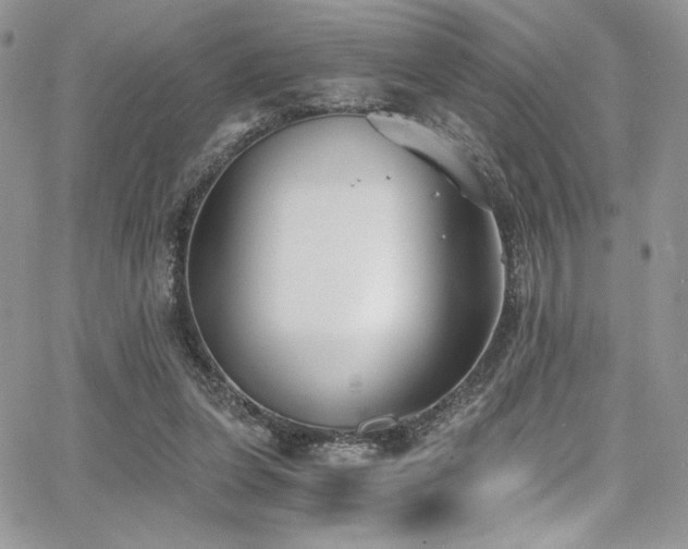 X0000068310255200604211211