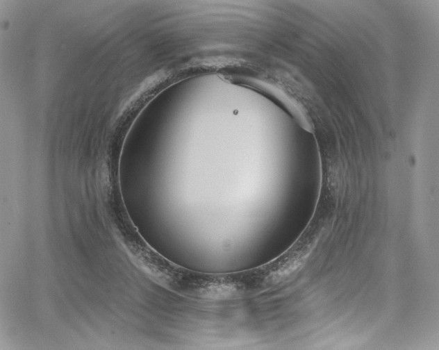 X0000068310256200604211211