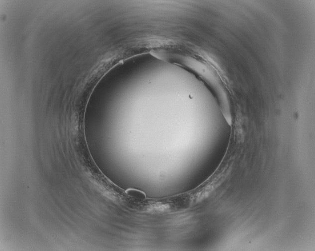 X0000068310257200604211211