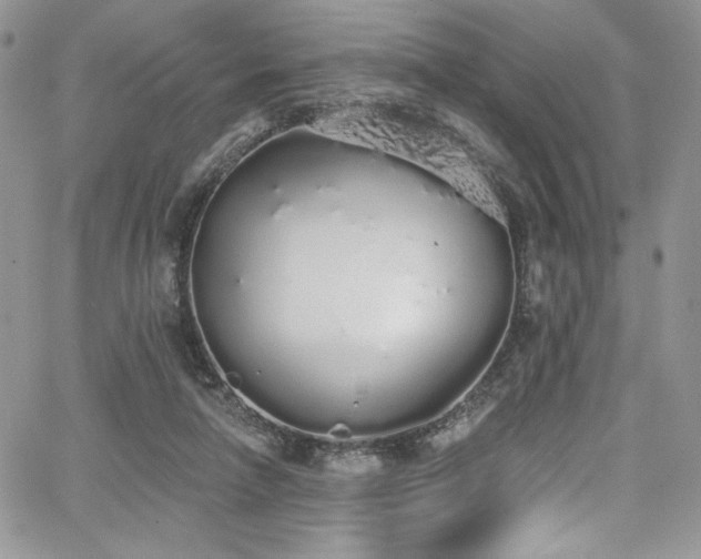 X0000068310258200604211211