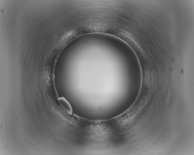 X0000068310259200604211211