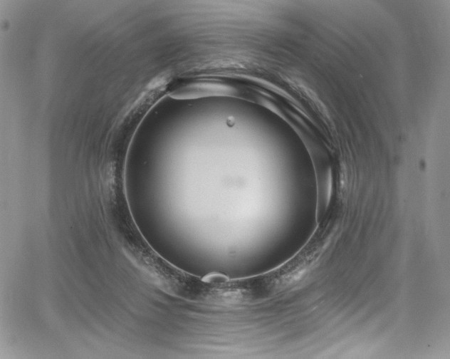 X0000068310260200604211211