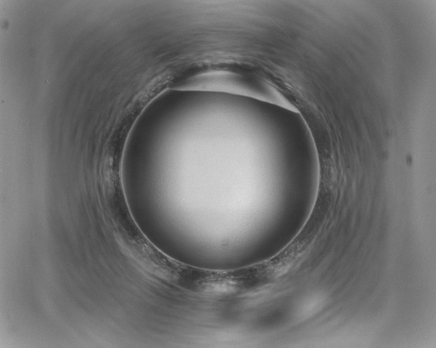 X0000068310263200604211211