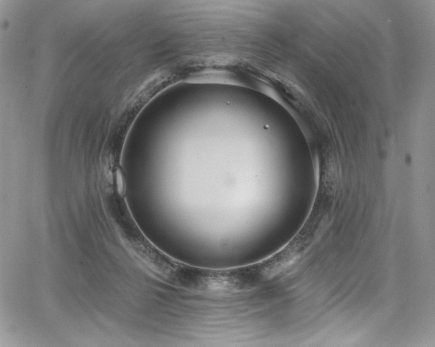 X0000068310264200604211211