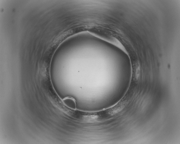 X0000068310266200604211211