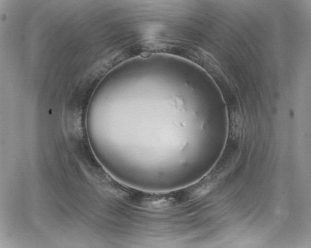 X0000068310267200604211211