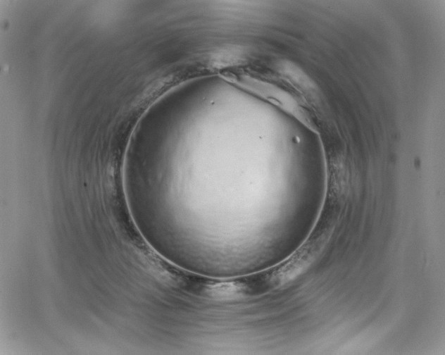 X0000068310269200604211212