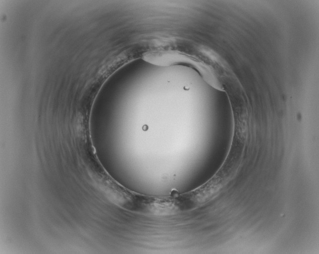 X0000068310270200604211212