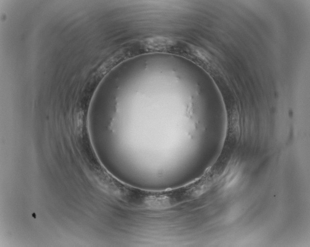 X0000068310271200604211212