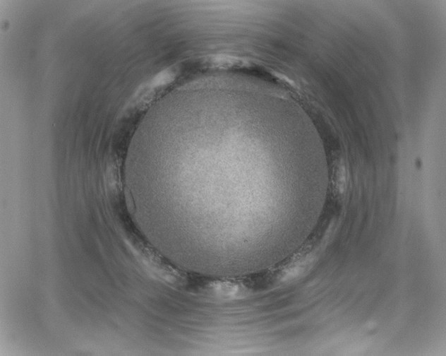 X0000068310272200604211212