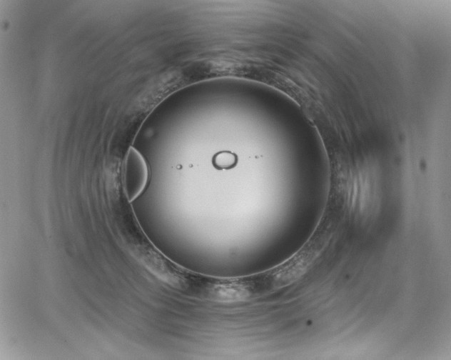 X0000068310275200604211212