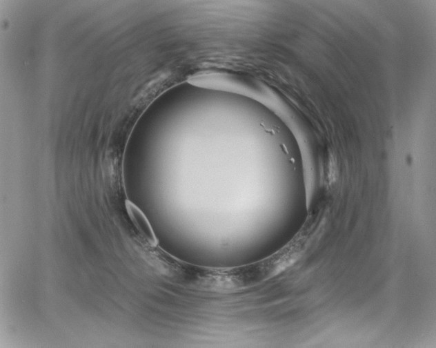 X0000068310276200604211212