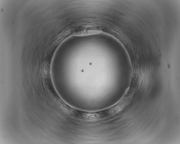 X0000068310277200604211212