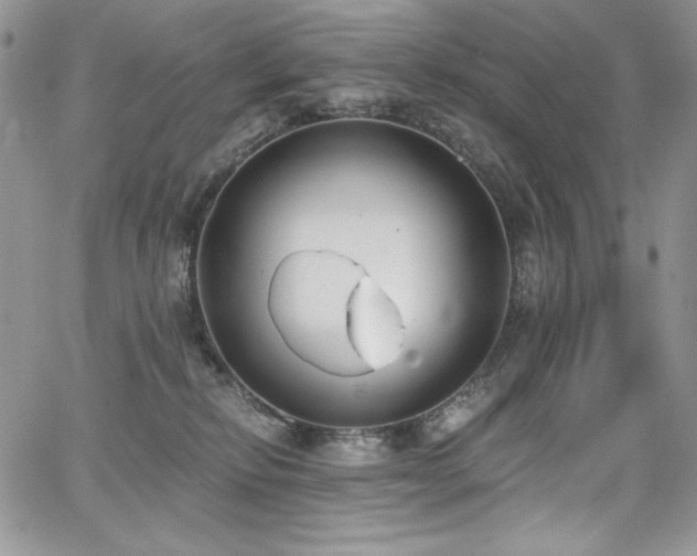 X0000068310278200604211212