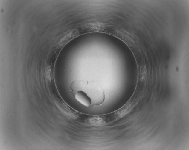 X0000068310279200604211212