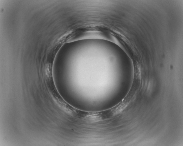 X0000068310280200604211212