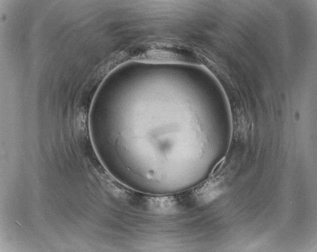 X0000068310281200604211212