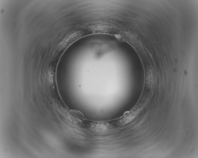 X0000068310282200604211212