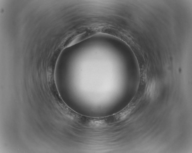 X0000068310283200604211212