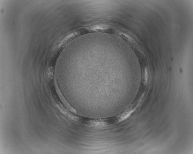 X0000068310284200604211212