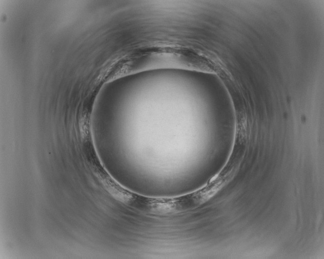 X0000068310285200604211212