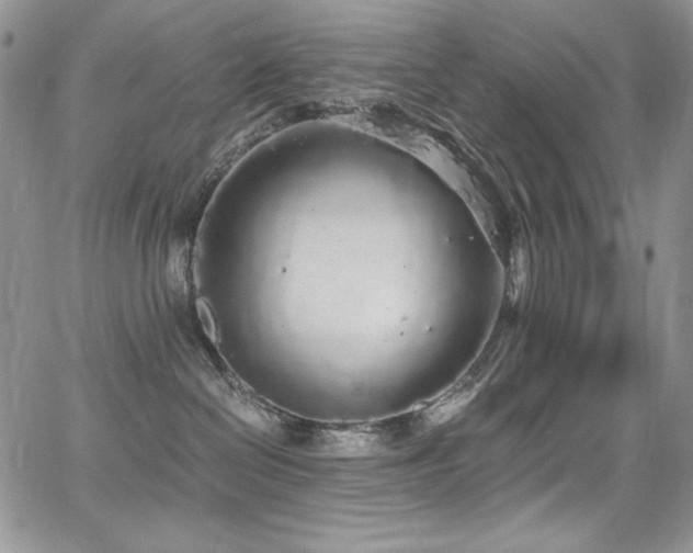 X0000068310286200604211212