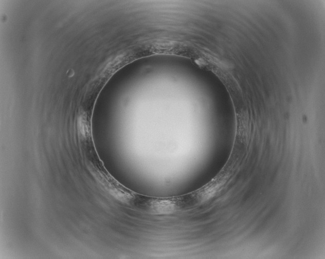 X0000068310287200604211212