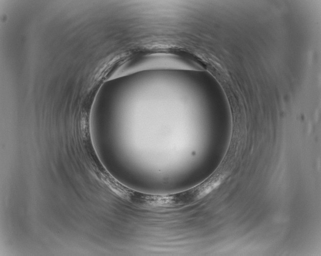 X0000068310288200604211212