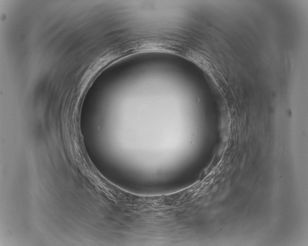 X0000068310289200604211211