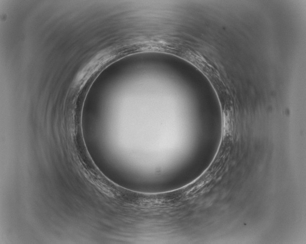 X0000068310291200604211211