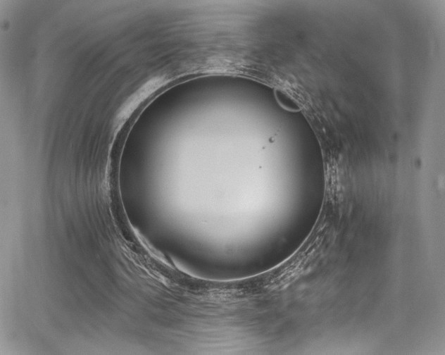 X0000068310292200604211211