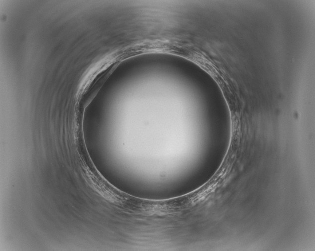 X0000068310293200604211211