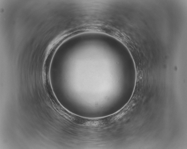 X0000068310294200604211211