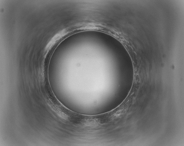 X0000068310296200604211211